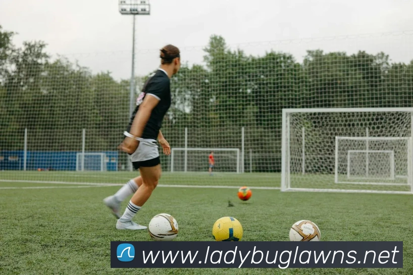 澳门威尼斯人网站发展历程